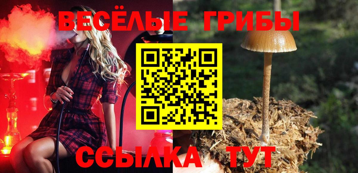 Галлюциногенные грибы Psilocybine cubensis Тольятти