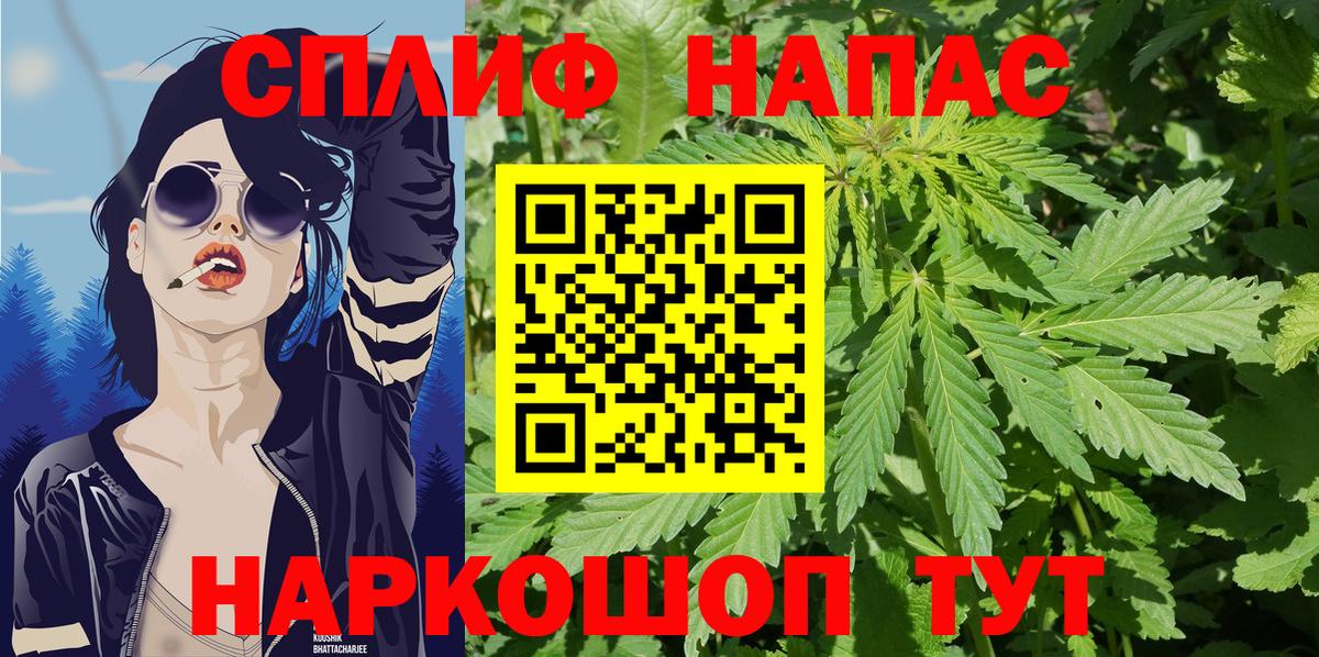 Бошки Шишки MAZAR Тольятти